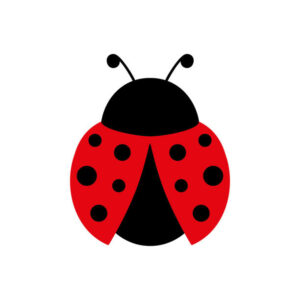 Coccinelle...